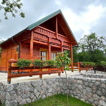 Villa Brvnare Cirkovic à Zlatibor Extérieur photo