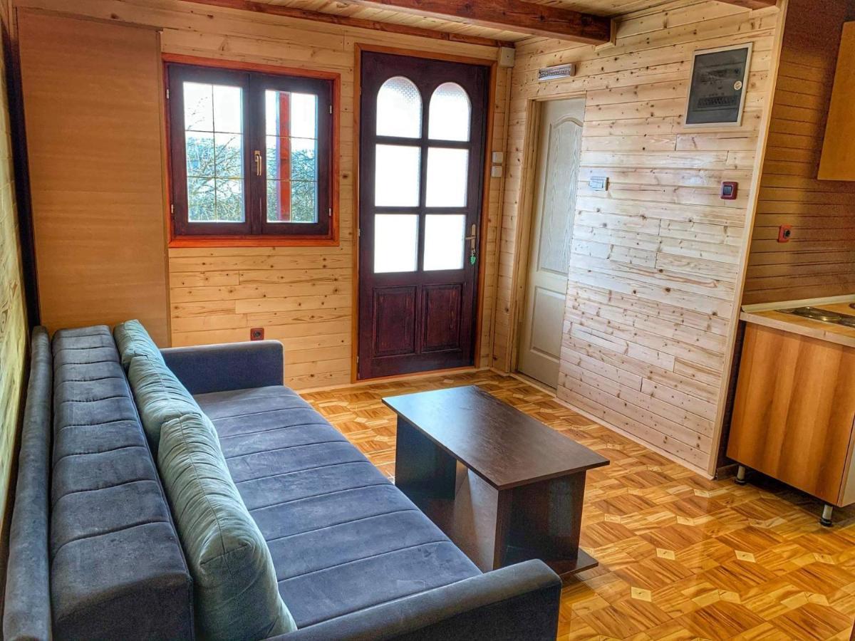 Villa Brvnare Cirkovic à Zlatibor Extérieur photo