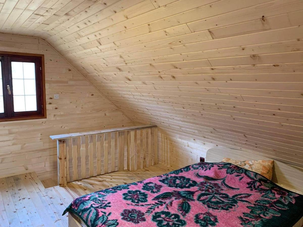 Villa Brvnare Cirkovic à Zlatibor Extérieur photo