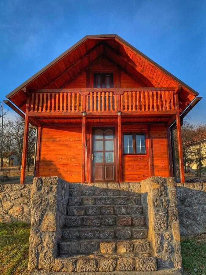 Villa Brvnare Cirkovic à Zlatibor Extérieur photo