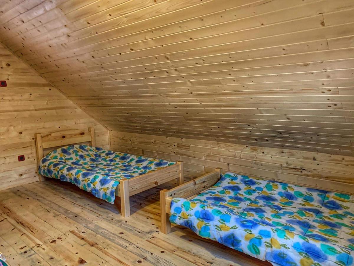Villa Brvnare Cirkovic à Zlatibor Extérieur photo