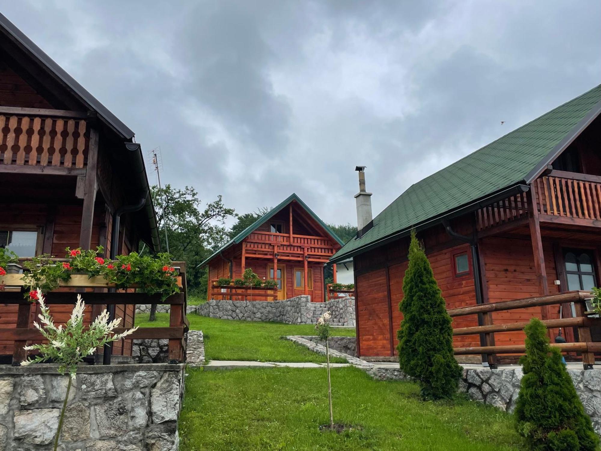 Villa Brvnare Cirkovic à Zlatibor Extérieur photo