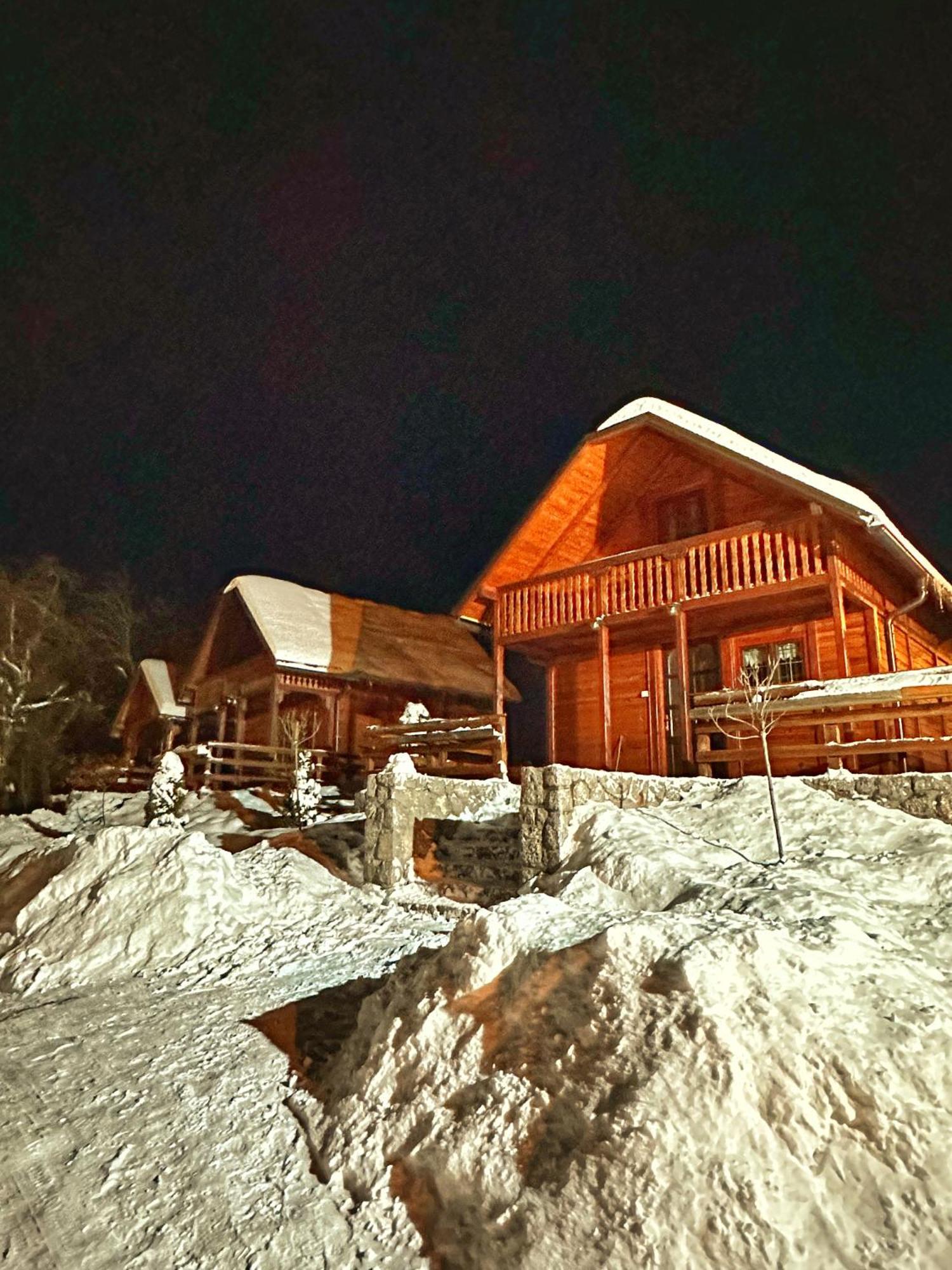 Villa Brvnare Cirkovic à Zlatibor Extérieur photo