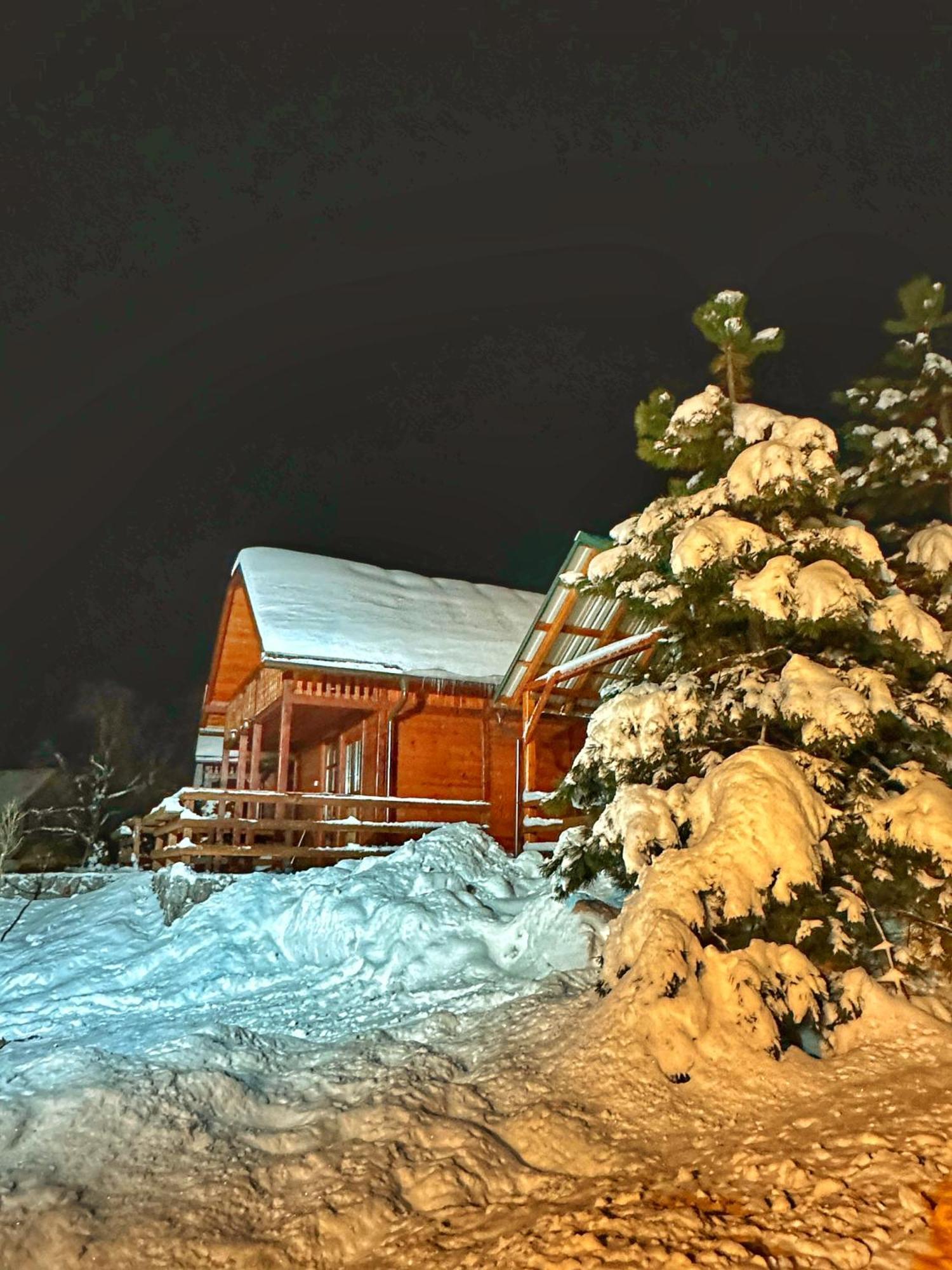 Villa Brvnare Cirkovic à Zlatibor Extérieur photo