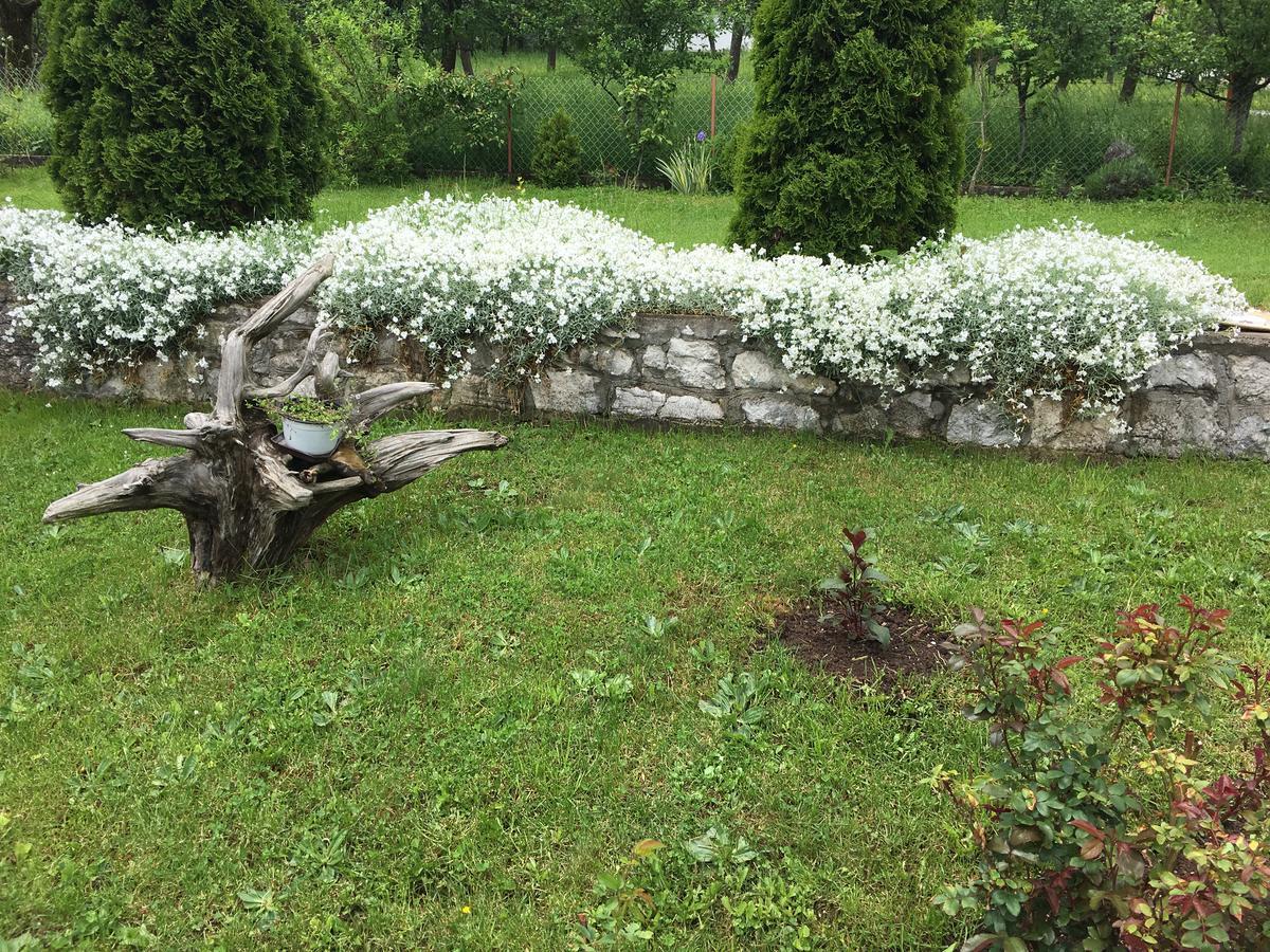 Villa Brvnare Cirkovic à Zlatibor Extérieur photo