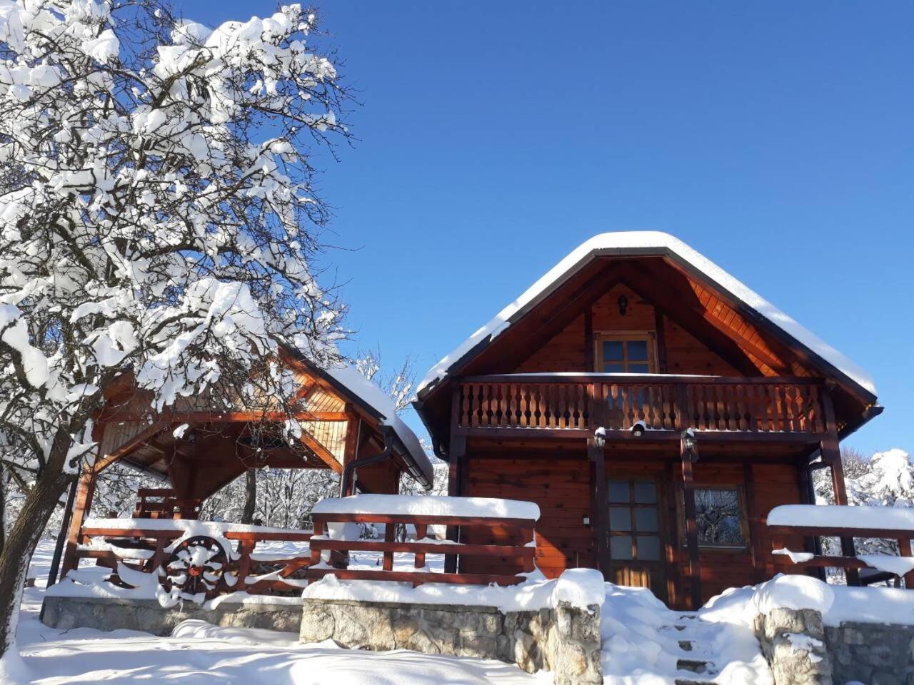 Villa Brvnare Cirkovic à Zlatibor Extérieur photo