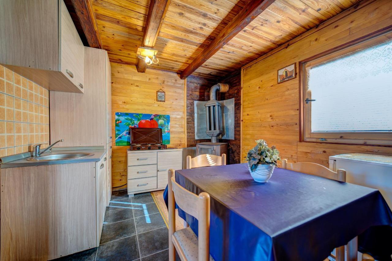 Villa Brvnare Cirkovic à Zlatibor Extérieur photo
