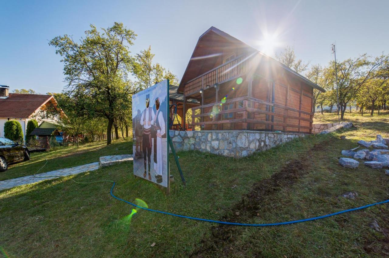 Villa Brvnare Cirkovic à Zlatibor Extérieur photo