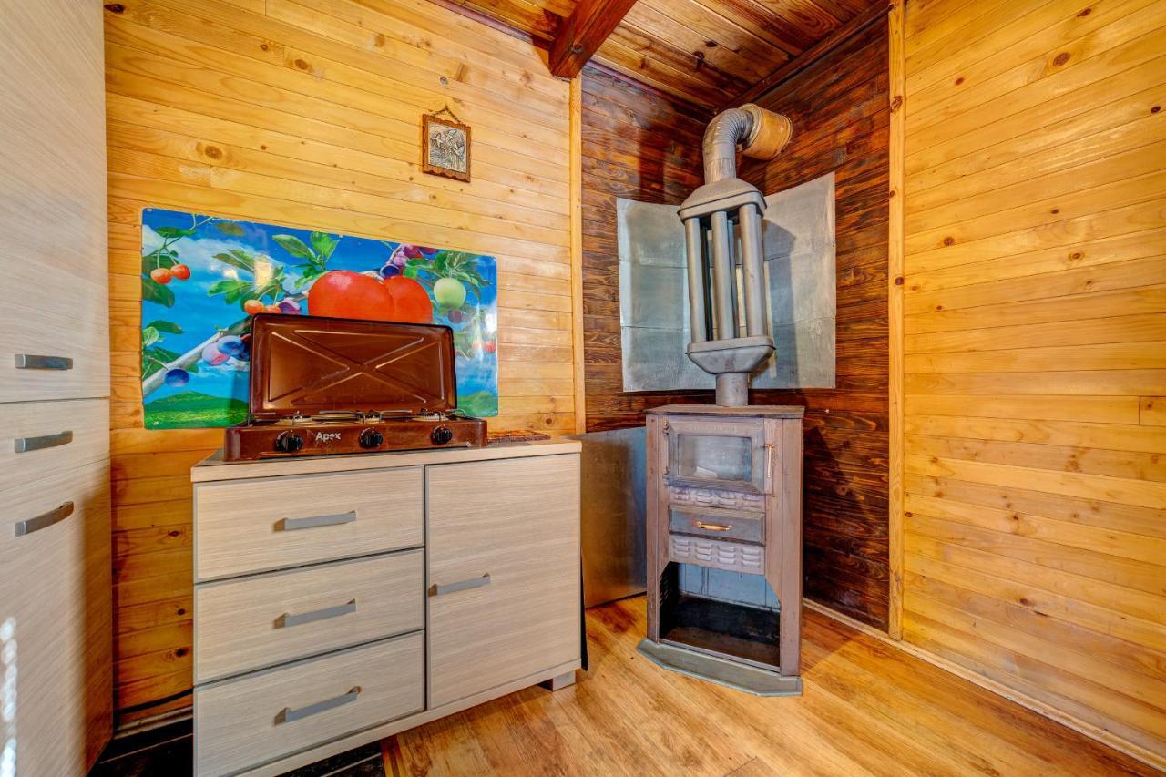 Villa Brvnare Cirkovic à Zlatibor Extérieur photo